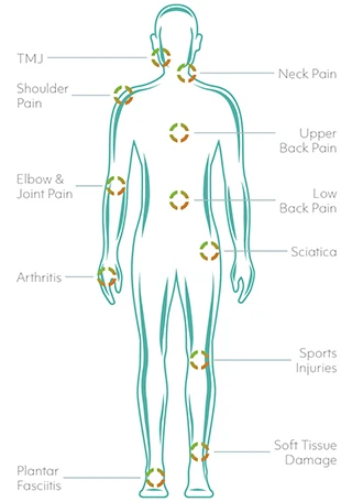 Anatomical Image of Person Green Ouline with Targets